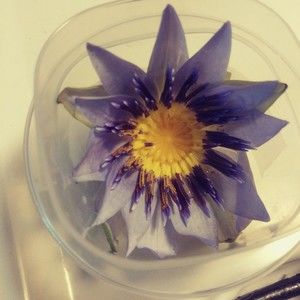 Meet your Posher, William